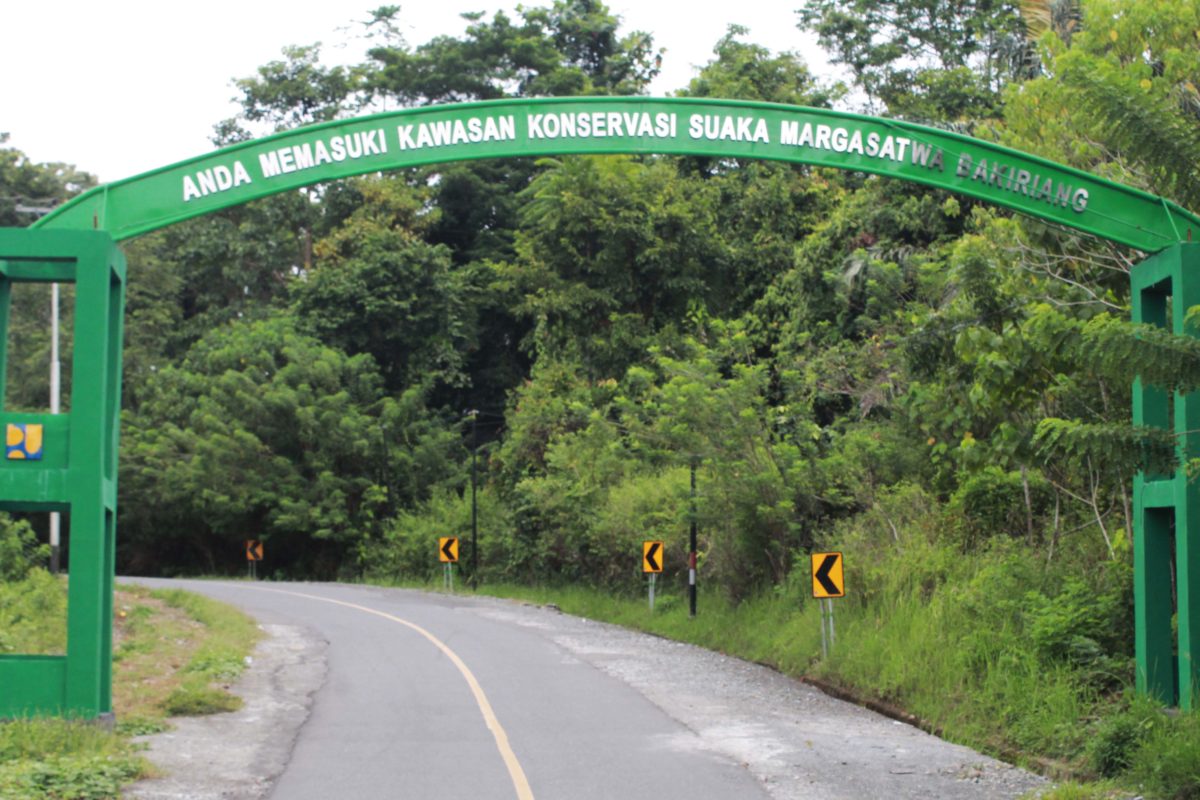 Memasuki Kawasan Konservasi, SM Bakiriang, yang di dalamnya banyak beun sawit. (Foto: Sarjan Lahay/ Mongabay Indonesia)