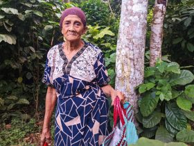 Ermi Mauke, penjaga hutan Sawawa (Foto: Sarjan Lahay/ Mongabay Indonesia)