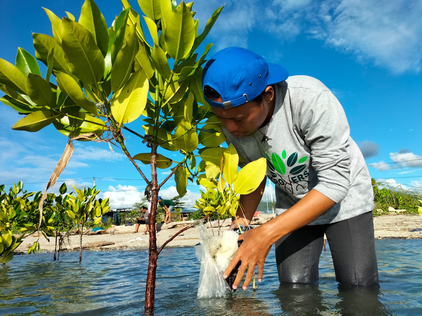 Aktivis seangle Kota Palu sedang membersihkan mangrove yang terjerat sampah plastik di Teluk Palu. (Foto: Ekspedisi Sungai Nusantara)