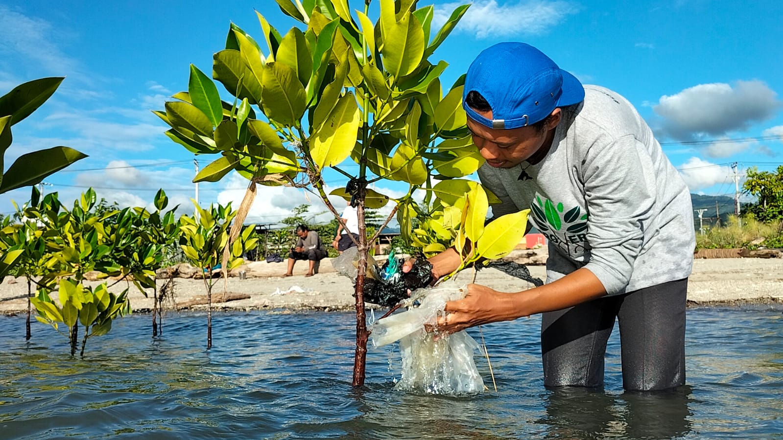 Aktivis seangle Kota Palu sedang membersihkan mangrove yang terjerat sampah plastik di Teluk Palu. (Foto: Ekspedisi Sungai Nusantara)