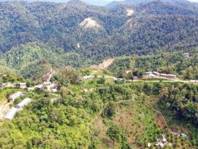 Area Proyek Emas Pani di Pohuwato, Gorontalo.. (Foto: PETS)