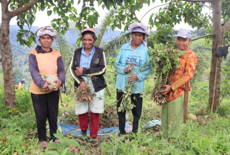 Para Perempuan Adat Moa, membawa beragam hasil panen mereka dari hutan pampa. Foto: Sarjan Lahay/ Mongabay Indonesia