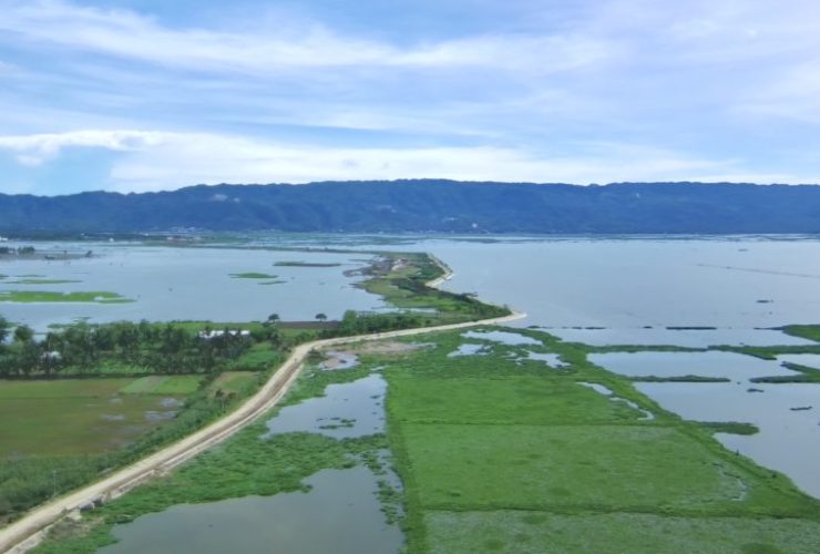 Panorama Danau Limboto, Gorontalo yang sebagian besar perairannya tertutupi eceng gondok. (Foto : Sarjan Lahay/Mongabay Indonesia)