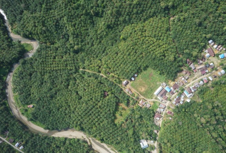 Kebun sawit PT SPN yang diduga masuk kawasan hutan lindung. Foto: Yayasan Komiu