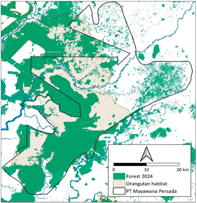 Habitat orangutan di dalam dan dekat dengan area konsesi PT Mayawana Persada menurut IUCN, Sumber Habitat orangutan dari peta IUCN 
