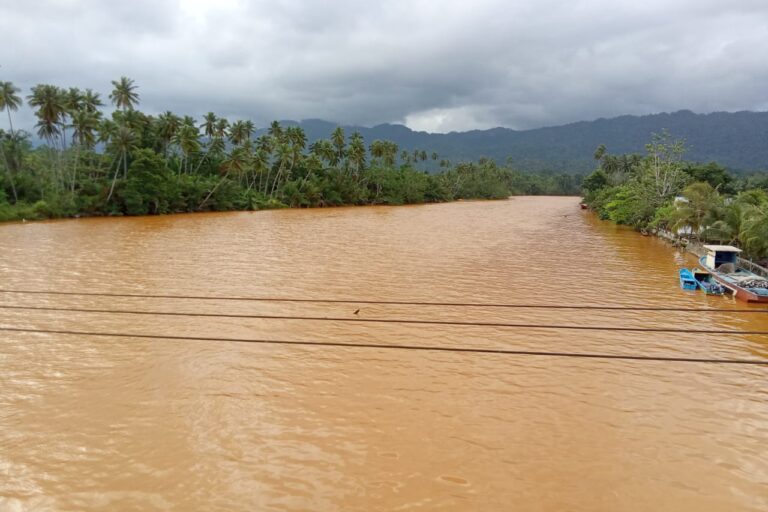 Kondisi Sungai Sagea setelah tercemar. Foto: Save Sagea