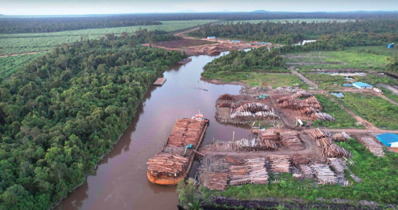 Kayu dari hutan alam dimuat ke dalam tongkang di dalam area konsesi Mayawana untuk diangkut ke pabrik kayu lapis PT Asia Forestama Raya di Sumatra, Agustus 2023, (Foto: Greenpeace Indonesia)