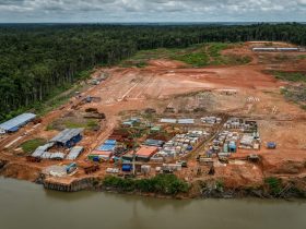 Pembangunan sawmill yang sedang berlangsung, 2018. Foto oleh Ulet Ifansasti untuk Greenpeace