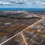 Pemandangan udara pembukaan hutan dan pembangunan perkebunan tebu PT Global Papua Abadi (GPA) di Desa Senayu, Distruk Sermayam, Kabupaten Merauke, Provinsi Papua Selatan pada 18 September 2025. (Ulet Ifansasti/Greenpeace)