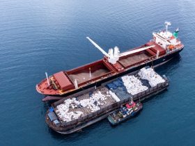 Aktivitas transhipment BJA. (Foto: FWI)