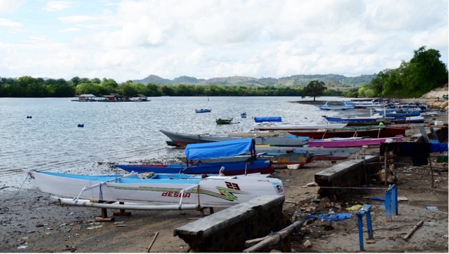 Dataran Pesisisir & Gelombang Penyakit Akibat Iklim. Adipatra Kenaro