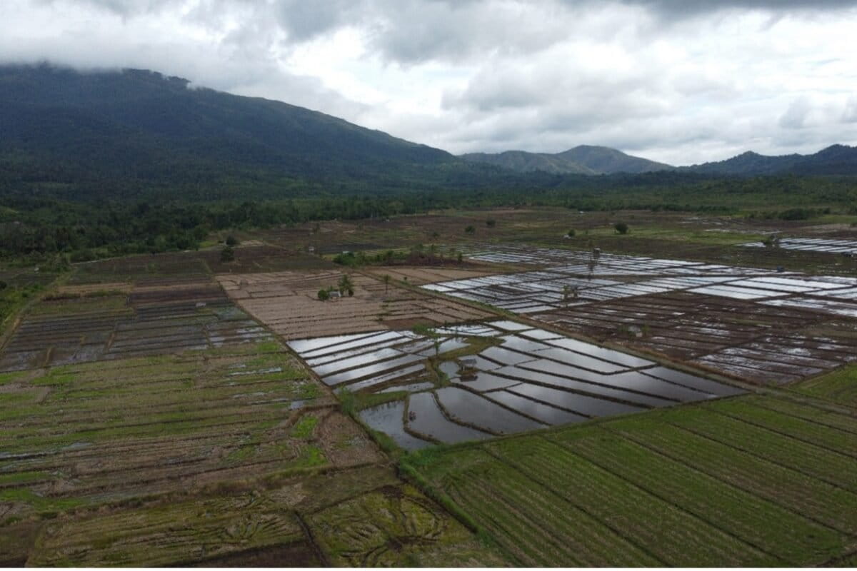Lahan pertanian di Lembah Tompotika. Foto: Jatam Sulteng