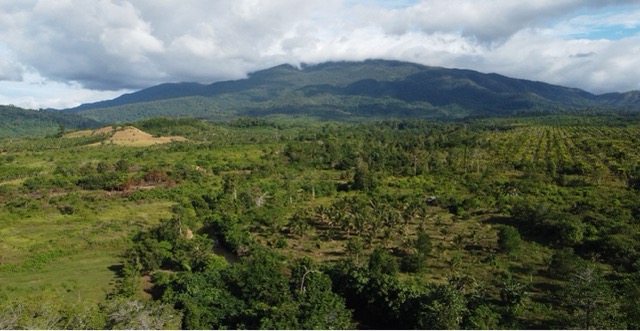 Lembah Tompotika, yang sudah berkeliling konsesi tambang nikel. Foto: Jatam Sulteng