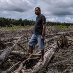 Seorang warga Papua sedang melihat wilayah hutan yang telah ditebang untuk kepentingan PSN. (Foto: Yayasan Pusaka)