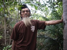 Musu Bilale, menunjukkan salah satu tempat dulu biasa dia tangkap kepiting kenari. Foto: Sarjan Lahay