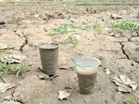 Sampel air yang terkontaminasi sedimentasi pascabanjir