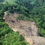 Hutan yang jadi wilayah konsesi GNJ di Gorontalo Utara yang telah dibuka. (Foto: Sarjan Lahay)