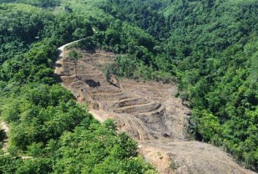 Hutan yang jadi wilayah konsesi GNJ di Gorontalo Utara yang telah dibuka. (Foto: Sarjan Lahay)