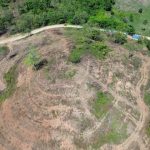 Area konsesi PT Gema Nusantara Jaya (GNJ) di Gorontalo Utara. (Foto: Sarjan Lahay)