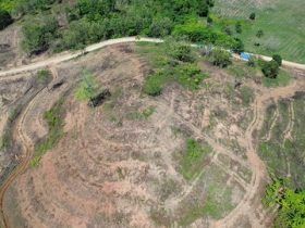 Area konsesi PT Gema Nusantara Jaya (GNJ) di Gorontalo Utara. (Foto: Sarjan Lahay)