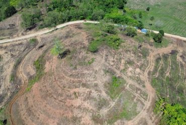 Area konsesi PT Gema Nusantara Jaya (GNJ) di Gorontalo Utara. (Foto: Sarjan Lahay)