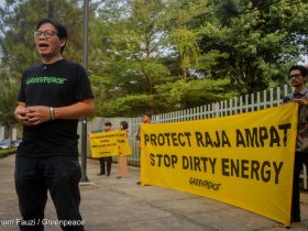 Aktivis Greenpeace menggelar protes damai dan tanpa kekerasan untuk menegaskan kembali seruan mereka agar ekosistem Raja Ampat dilindungi sepenuhnya. (Foto: © Ilham Fauzi /Greenpeace)