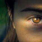 Gambar oleh Helmut Strasil dari Pixabay