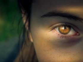 Gambar oleh Helmut Strasil dari Pixabay