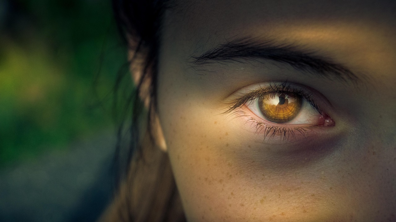 Gambar oleh Helmut Strasil dari Pixabay