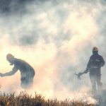 Ilustrasi kebakaran hutan dan lahan (karhutla). Gambar oleh Ronald Plett dari Pixabay
