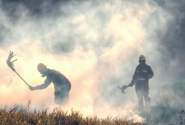 Ilustrasi kebakaran hutan dan lahan (karhutla). Gambar oleh Ronald Plett dari Pixabay