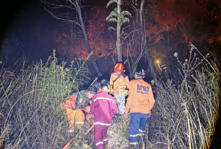 Petugas BPBD menuju lokasi karhutla. Foto: BPBD Nunukan.