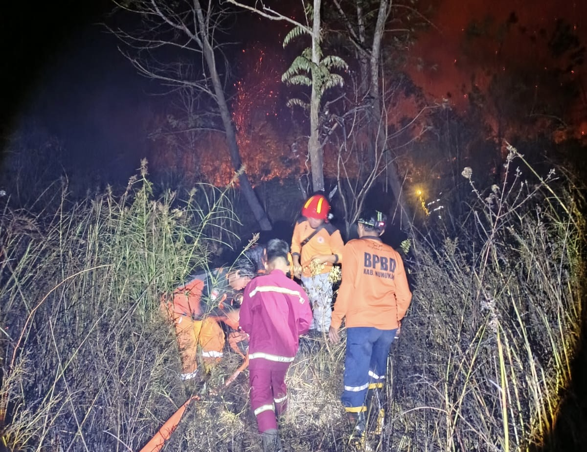 Petugas BPBD menuju lokasi karhutla. Foto: BPBD Nunukan.