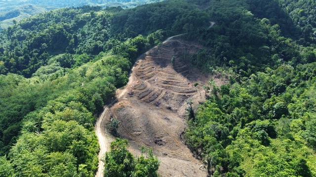 Hutan yang jadi wilayah konsesi GNJ di Gorontalo Utara yang telah dibuka. (Foto: Sarjan Lahay)