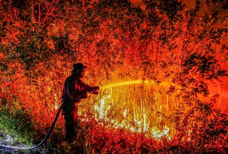 Seorang petugas berusaha memadamkan api di Kalimantan akibat Karhutla. Foto: Greenpeace.