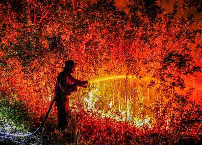 Seorang petugas berusaha memadamkan api di Kalimantan akibat Karhutla. Foto: Greenpeace.