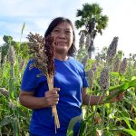 Pegiat sorgum asal Kabupaten Flores Timur, NTT, Maria Loretha menunjukkan sorgum di lahannya di Desa Kawalelo. Foto: Ebed de Rosary/Mongabay Indonesia
