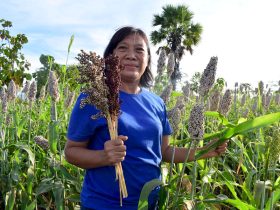Pegiat sorgum asal Kabupaten Flores Timur, NTT, Maria Loretha menunjukkan sorgum di lahannya di Desa Kawalelo. Foto: Ebed de Rosary/Mongabay Indonesia