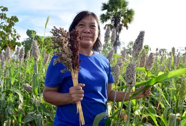 Pegiat sorgum asal Kabupaten Flores Timur, NTT, Maria Loretha menunjukkan sorgum di lahannya di Desa Kawalelo. Foto: Ebed de Rosary/Mongabay Indonesia