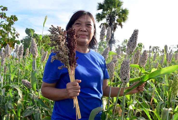 Pegiat sorgum asal Kabupaten Flores Timur, NTT, Maria Loretha menunjukkan sorgum di lahannya di Desa Kawalelo. Foto: Ebed de Rosary/Mongabay Indonesia