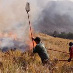 Tim pemadam berjibaku untuk memadamkan api di kawasan TNTBS. Foto: Dokumen TNBTS.