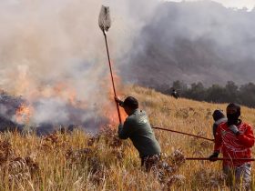 Tim pemadam berjibaku untuk memadamkan api di kawasan TNTBS. Foto: Dokumen TNBTS.