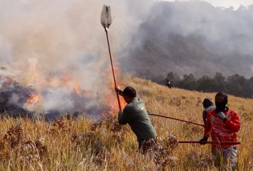 Tim pemadam berjibaku untuk memadamkan api di kawasan TNTBS. Foto: Dokumen TNBTS.
