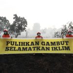 Greenpeace membentangkan banner di lahan gambut bekas terbakar. Foto: Stefanus Taman - Greenpeace