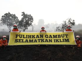 Greenpeace membentangkan banner di lahan gambut bekas terbakar. Foto: Stefanus Taman - Greenpeace