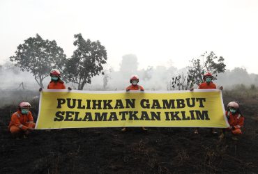 Greenpeace membentangkan banner di lahan gambut bekas terbakar. Foto: Stefanus Taman - Greenpeace