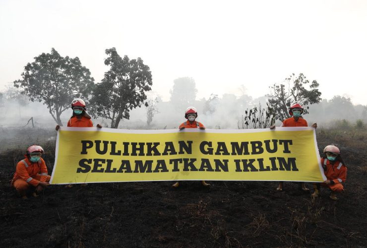 Greenpeace membentangkan banner di lahan gambut bekas terbakar. Foto: Stefanus Taman - Greenpeace