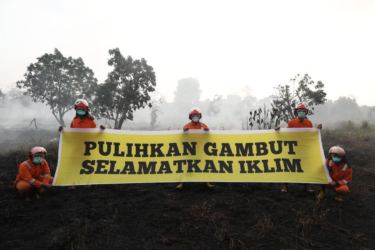 Greenpeace membentangkan banner di lahan gambut bekas terbakar. Foto: Stefanus Taman - Greenpeace