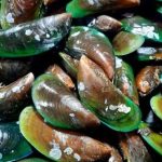 Kerang hijau. Sumber foto: Pinterest