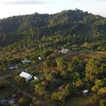 Hutan Tompotika. Foto: Jatam Sulteng